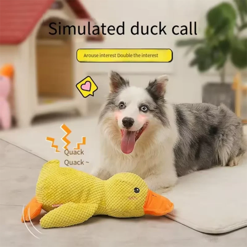 Dog sleeping with a dog hug duck toys to relieve boredom of little