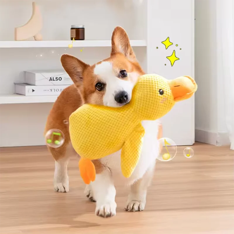 Dog sleeping with a dog hug duck toys to relieve boredom of little